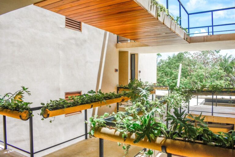 Eterna 401, Tulum